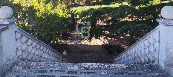 17 rooms Villa in Fasano, Italy No. 75971 23