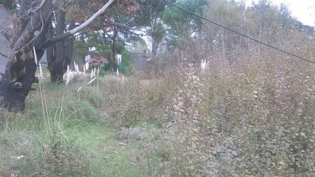 Земельный участок в Мар-дель-Плата, Аргентина № 119750