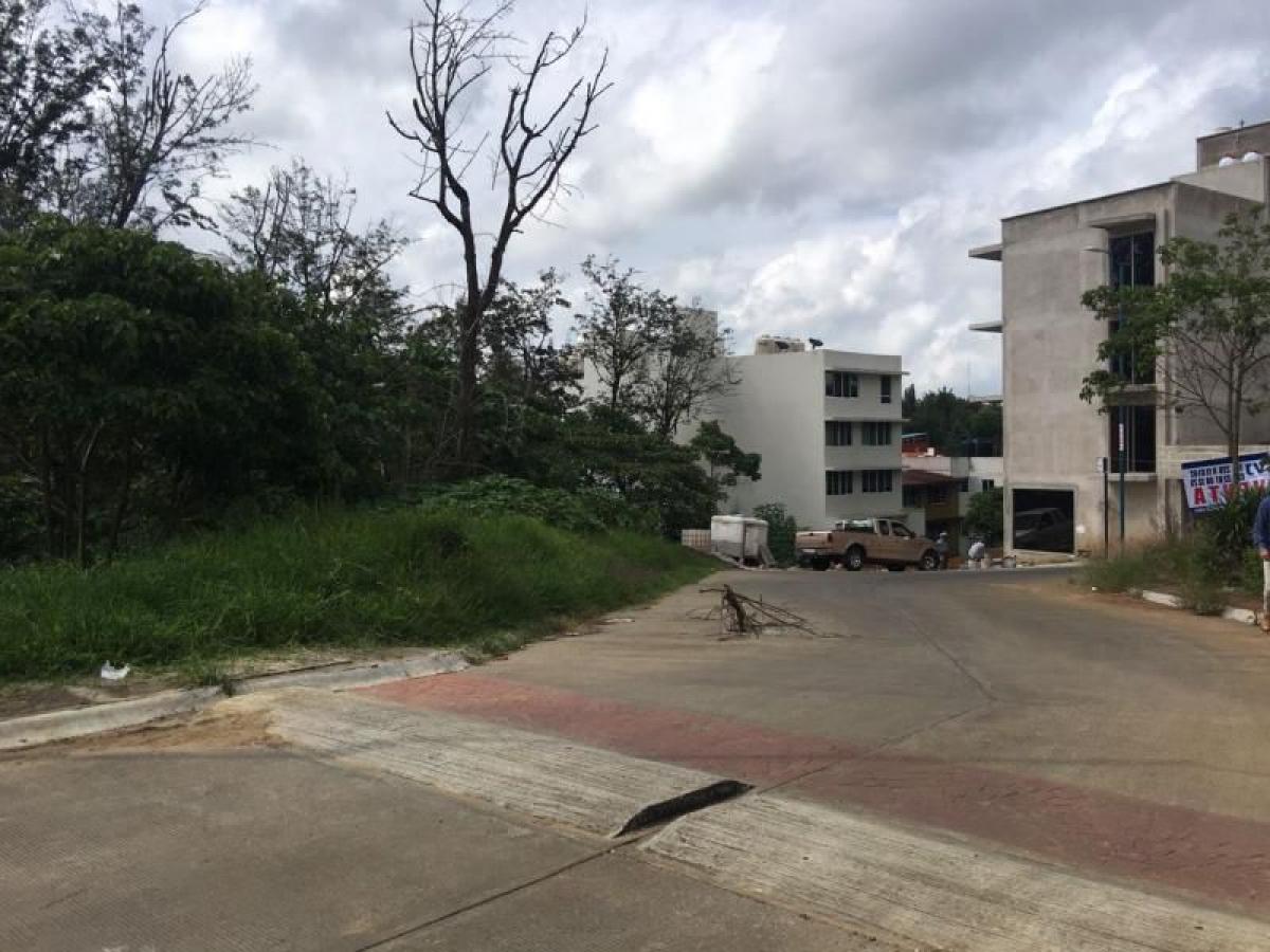  Land in Veracruz, Mexico No. 204164