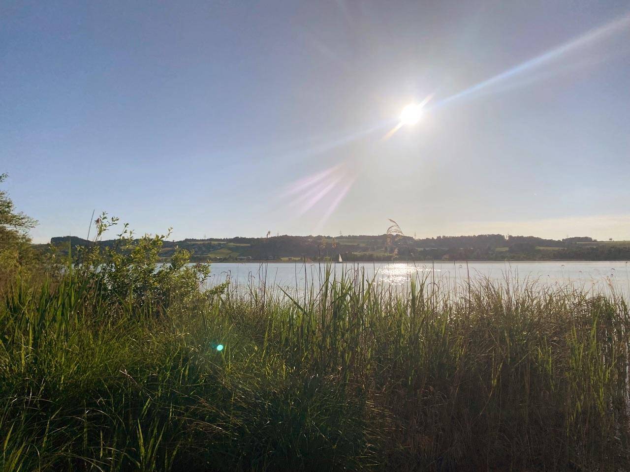 2 rooms Apartment in Mattsee, Austria No. 197880