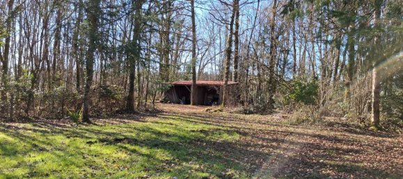 2 bedrooms House in Negrondes, France No. 196840 5