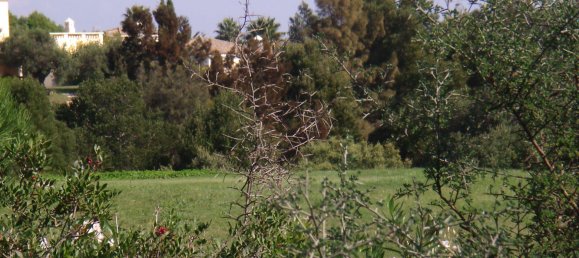  Land in Cadiz, Spain No. 134835 7