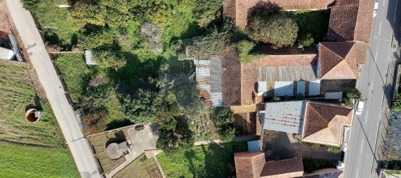 5 غرف نوم منزل في Sangalhos, Portugal رقم 158755 35