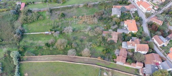 5 غرف نوم منزل في Sangalhos, Portugal رقم 158755 36