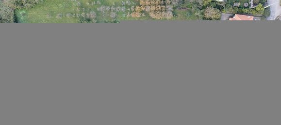 5 غرف نوم منزل في Sangalhos, Portugal رقم 158755 29