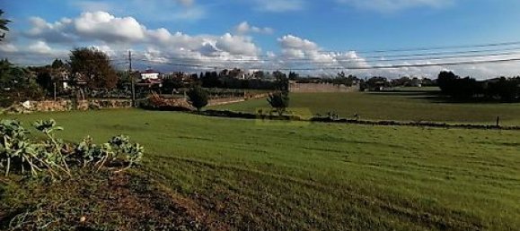 Grundstück in Barcelos, Portugal 1817m², Nr. 32963 8