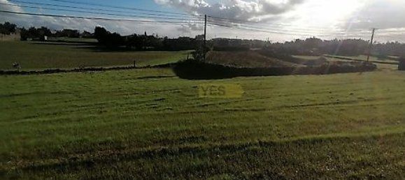 Grundstück in Barcelos, Portugal 1817m², Nr. 32963 7