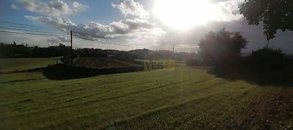 Grundstück in Barcelos, Portugal 1817m², Nr. 32963 5