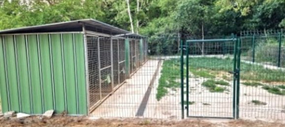 7 chambres Maison à Beaulieu-sur-Loire, France No. 216651 2