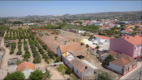 6 Schlafzimmer Haus in Palmela, Portugal, Nr. 29314