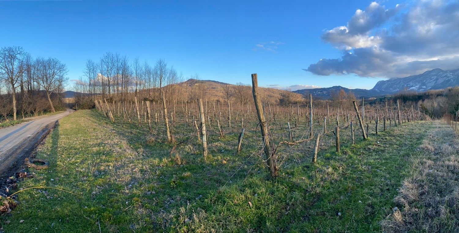 6000m² Land in San Martino Valle Caudina, Italy No. 176640