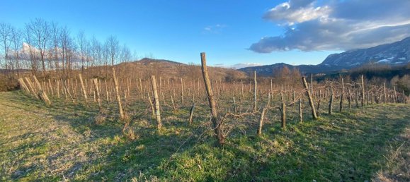 6000m² Land in San Martino Valle Caudina, Italy No. 176640 2