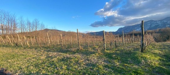 6000m² Land in San Martino Valle Caudina, Italy No. 176640 3