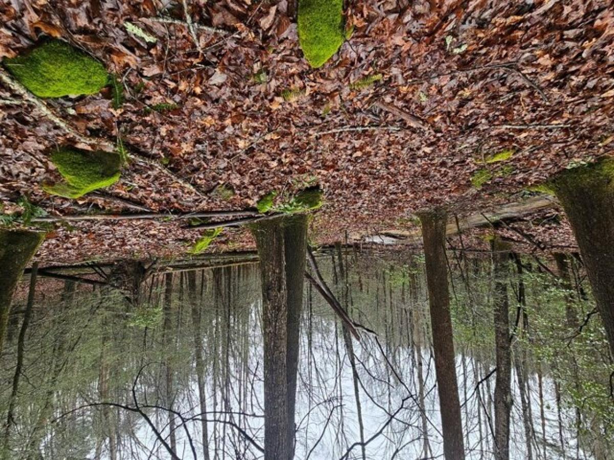  Land in Ellijay, USA No. 500576