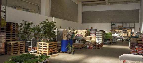 125m² Warehouse in Chioggia, Italy No. 177573 6
