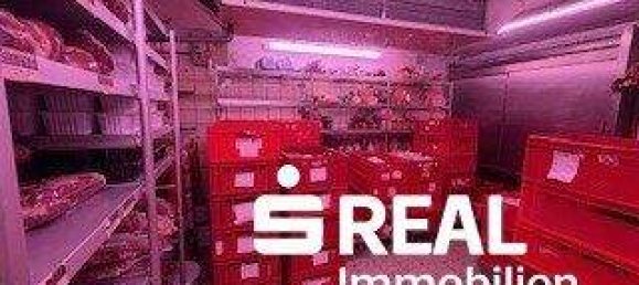 7 rooms Apartment in Lambach, Austria No. 143634 6