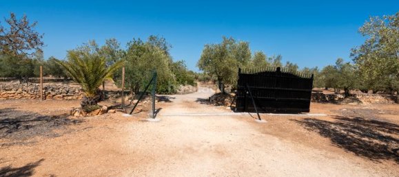 2 bedrooms House in Tarragona, Spain No. 191177 6