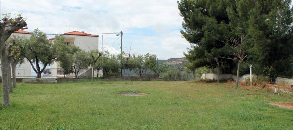 2331m² Townhouse in Chalkidiki, Greece No. 7896 21