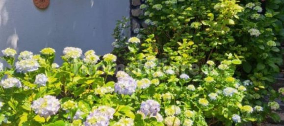 4 chambres Villa à Serrone, Italy No. 268229 5