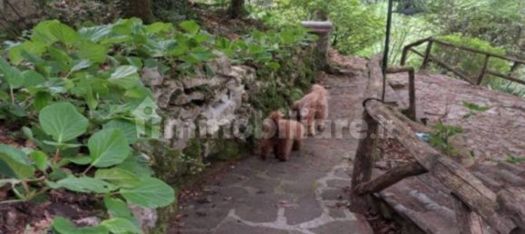 4 chambres Villa à Serrone, Italy No. 268229 6
