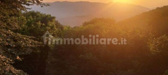 4 chambres Villa à Serrone, Italy No. 268229 17