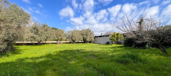 Lagerhaus in Anzio, Italy 275m², Nr. 109600 8