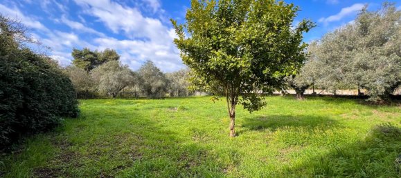 Lagerhaus in Anzio, Italy 275m², Nr. 109600 7