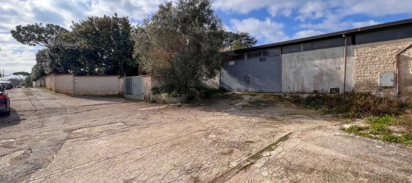 Lagerhaus in Anzio, Italy 275m², Nr. 109600 3