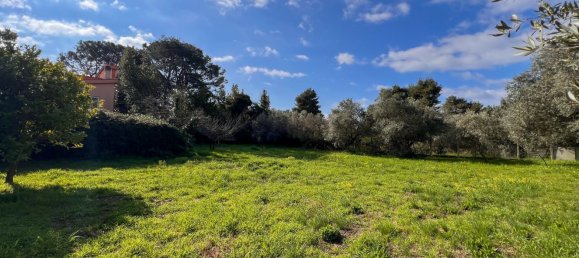 Lagerhaus in Anzio, Italy 275m², Nr. 109600 10