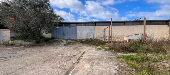 Lagerhaus in Anzio, Italy 275m², Nr. 109600 2