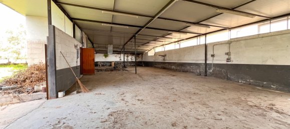 Lagerhaus in Anzio, Italy 275m², Nr. 109600 6