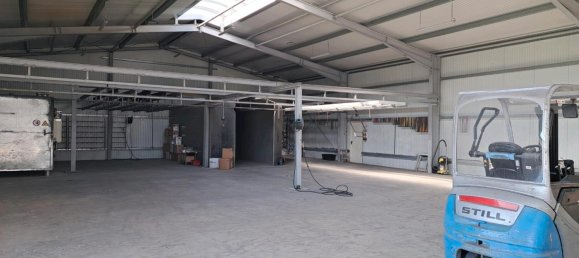  Warehouse in Cloppenburg, Germany No. 266003 5