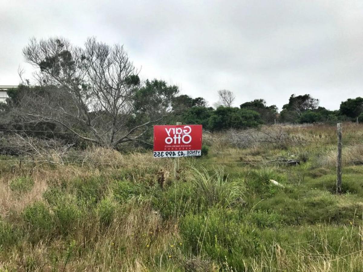 Grundstück in Maldonado, Uruguay, Nr. 15324