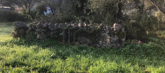  قطعة أرض في Loule, Portugal رقم 59957 2