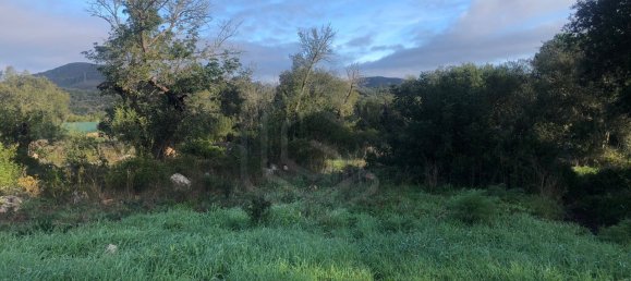  قطعة أرض في Loule, Portugal رقم 59957 6