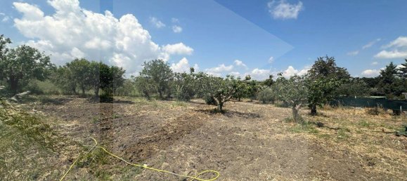 3-Zimmer Haus in Matera, Italy, Nr. 34519 14