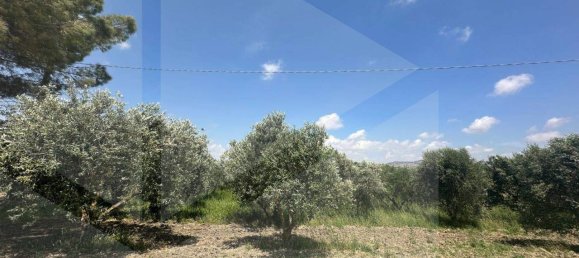 3-Zimmer Haus in Matera, Italy, Nr. 34519 11