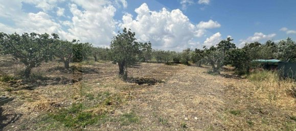 3-Zimmer Haus in Matera, Italy, Nr. 34519 8