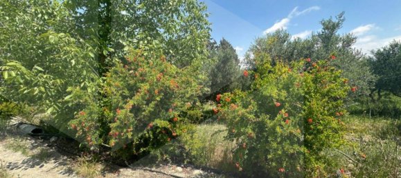 3-Zimmer Haus in Matera, Italy, Nr. 34519 7