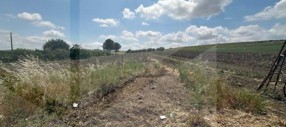 3-Zimmer Haus in Matera, Italy, Nr. 34519 12