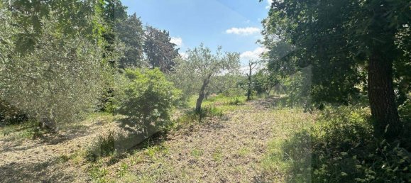 3-Zimmer Haus in Matera, Italy, Nr. 34519 15