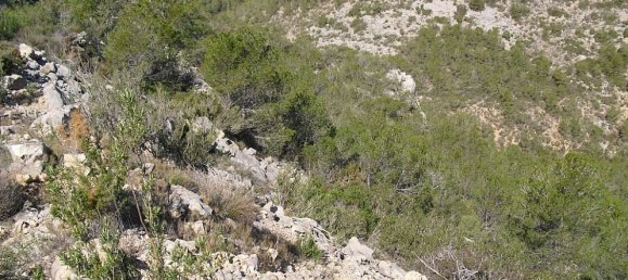 Terreno en Alcala De Xivert, Spain No. 184524 3