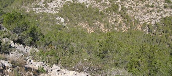 Terreno en Alcala De Xivert, Spain No. 184524 5