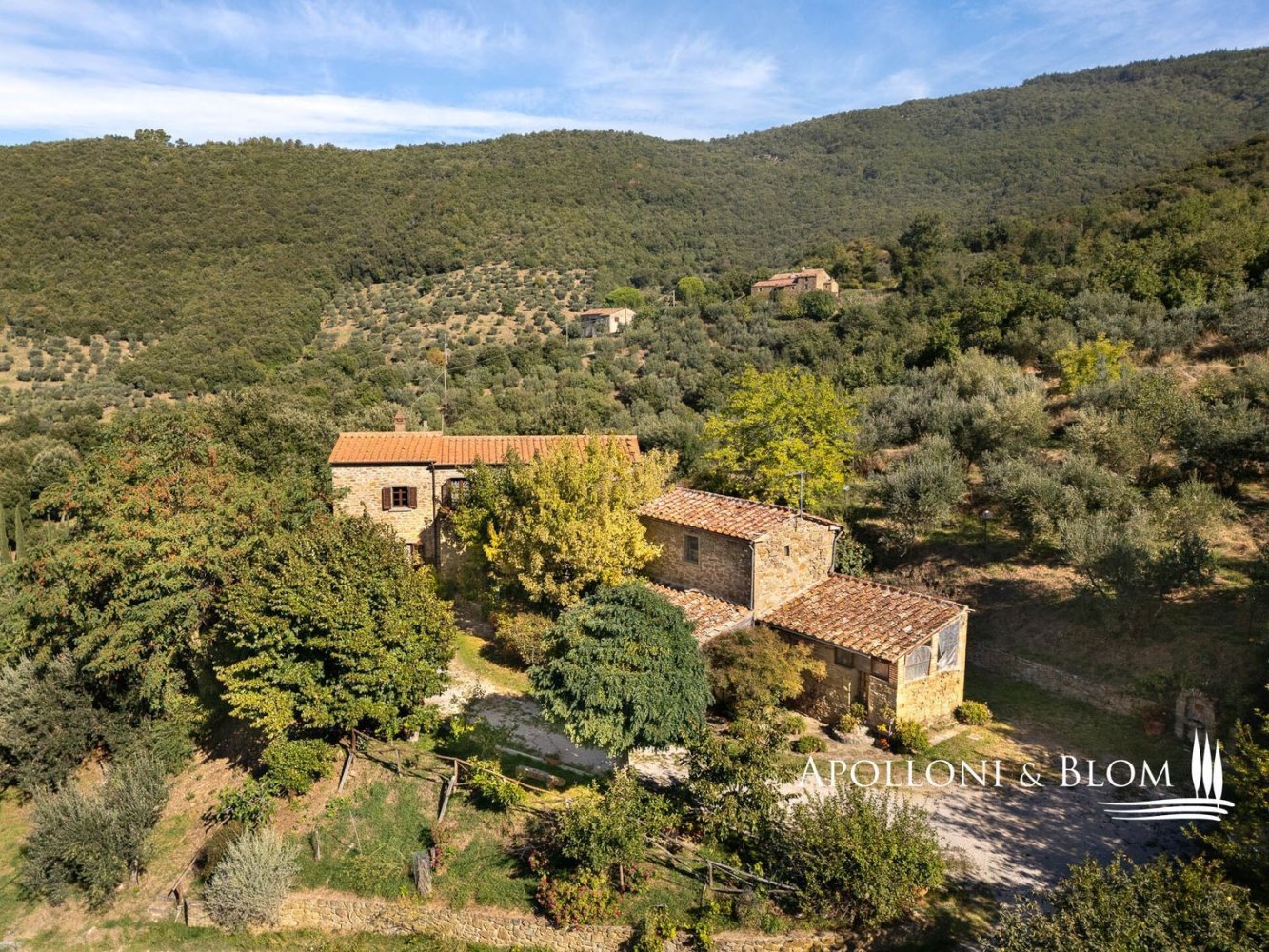 11 Schlafzimmer Haus in Cortona, Italy, Nr. 55568