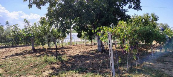 Terreno en Rocca San Giovanni, Italy 5000 m² No. 349914 14