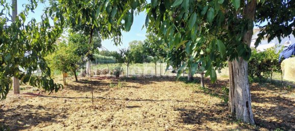 Terreno en Rocca San Giovanni, Italy 5000 m² No. 349914 10