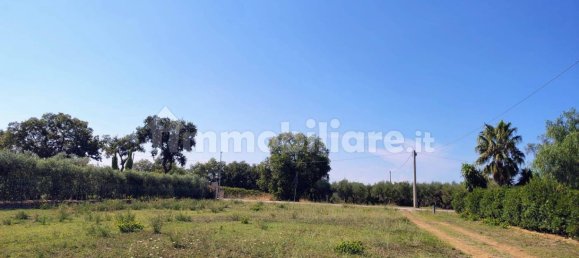 Terreno en Rocca San Giovanni, Italy 5000 m² No. 349914 9