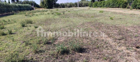 Terreno en Rocca San Giovanni, Italy 5000 m² No. 349914 7