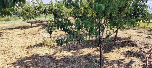 Terreno en Rocca San Giovanni, Italy 5000 m² No. 349914 13