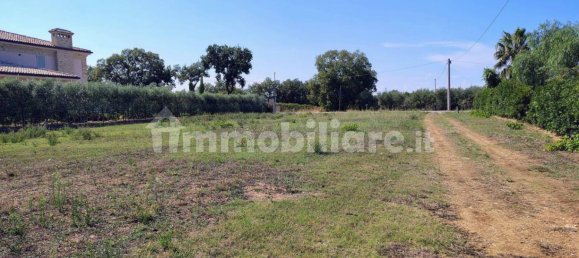 Terreno en Rocca San Giovanni, Italy 5000 m² No. 349914 6